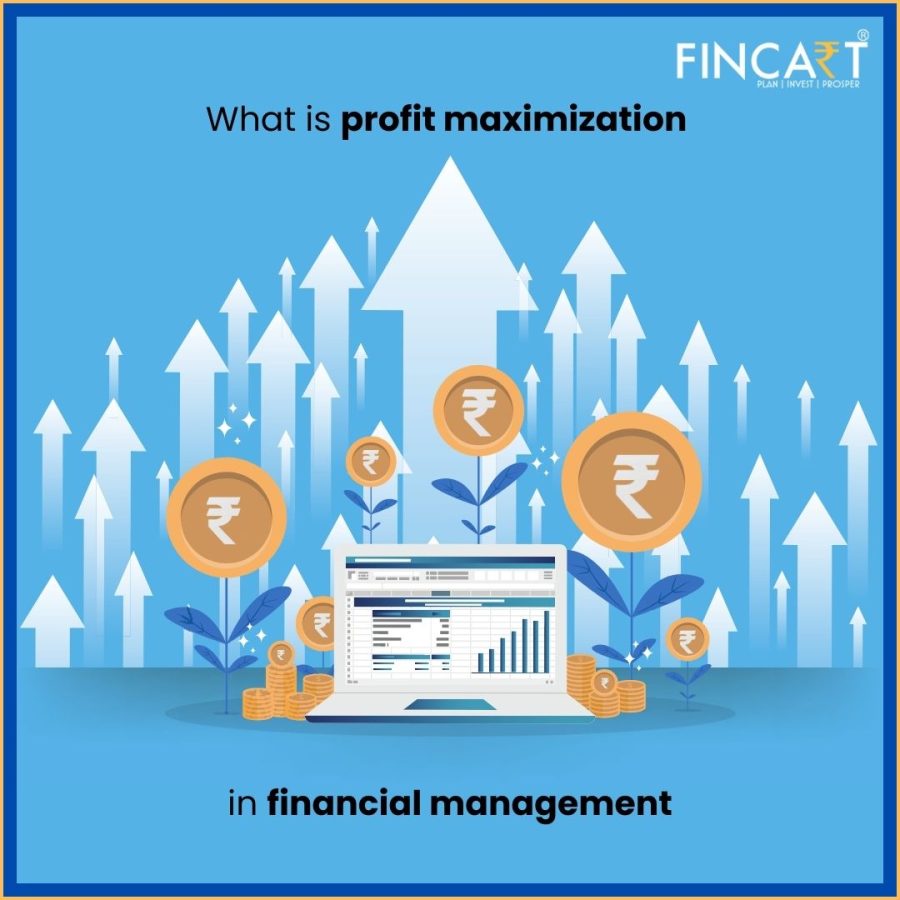 Profit Maximisation In Financial Management